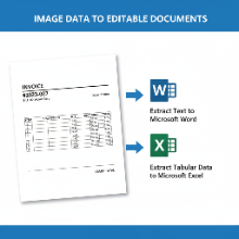 A diagram showing data from an image being extracted into Word and Excel documents.